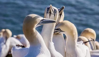 凯发平台官网-半场比分落后，球队急需追赶