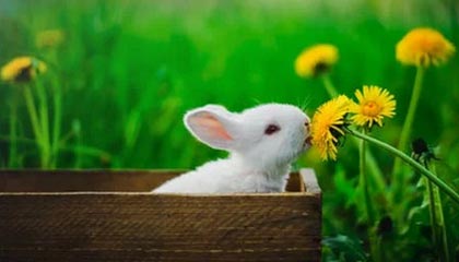 凯发娱乐平台-梅西进球数不胜数，团队士气高涨