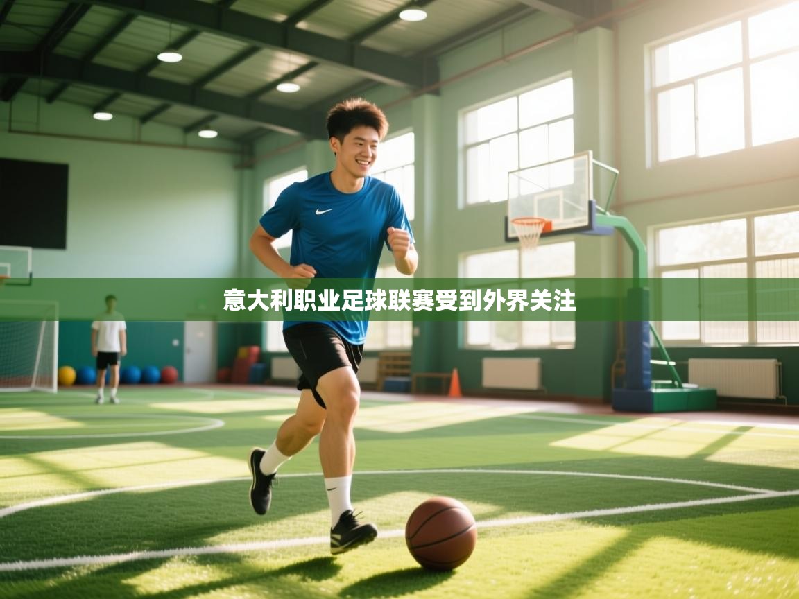 意大利职业足球联赛受到外界关注  第2张